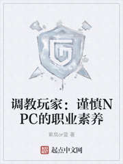 调教玩家：谨慎NPC的职业素养