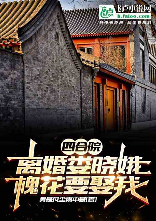 四合院：离婚娄晓娥,槐花要娶我