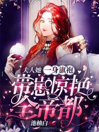 尾巴插件PLAY冰球