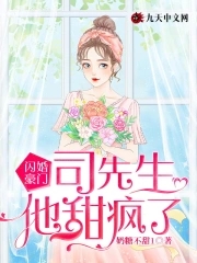 闪婚豪门,司先生他甜疯了