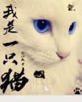 我是一只猫