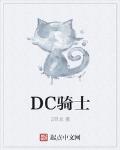 DC骑士